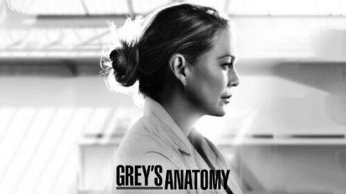S'ERIES | 17a temporada de Grey's Anatomy chega ao STAR+ em outubro photo 0